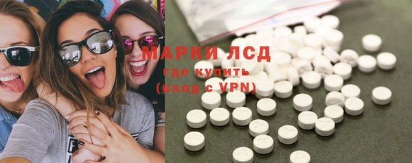 ешки Бородино