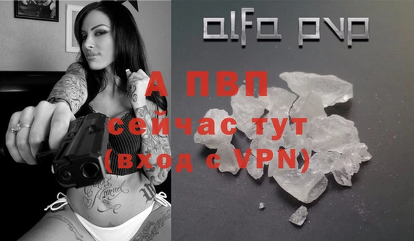ешки Бородино
