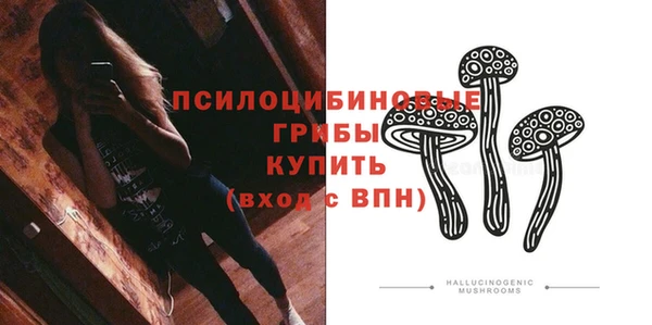 ешки Бородино