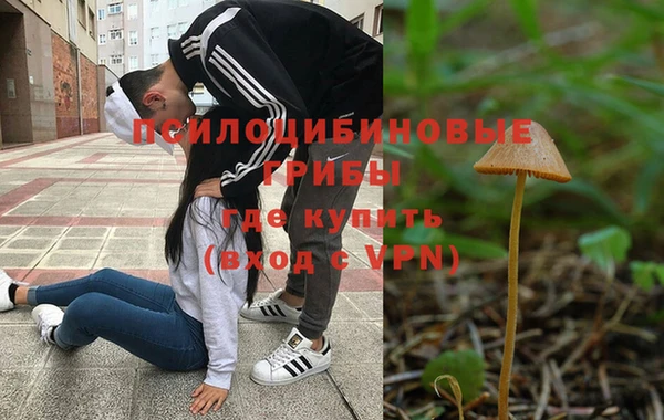 Альфа ПВП Бугульма