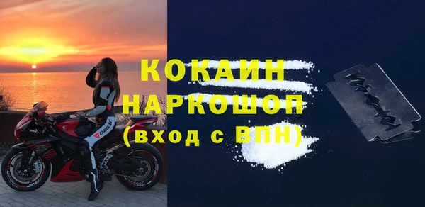 ешки Бородино