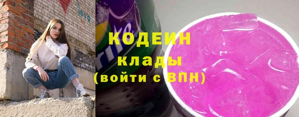 ешки Бородино