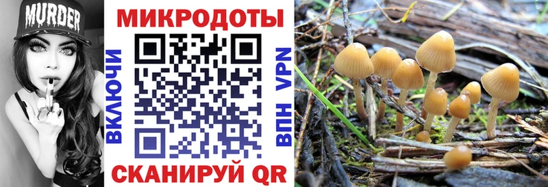 Купить  Сураж  Псилоцибиновые грибы GOLDEN TEACHER 